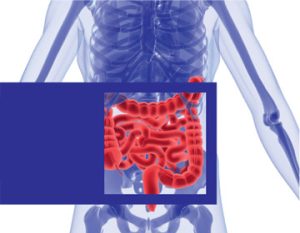 Read more about the article Скрининг рака дебелог црева