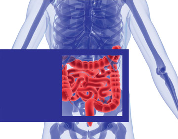You are currently viewing Скрининг рака дебелог црева